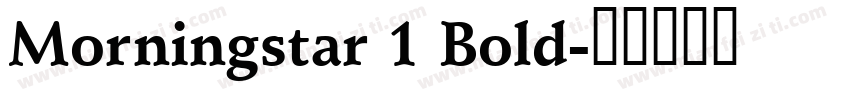 Morningstar 1 Bold字体转换